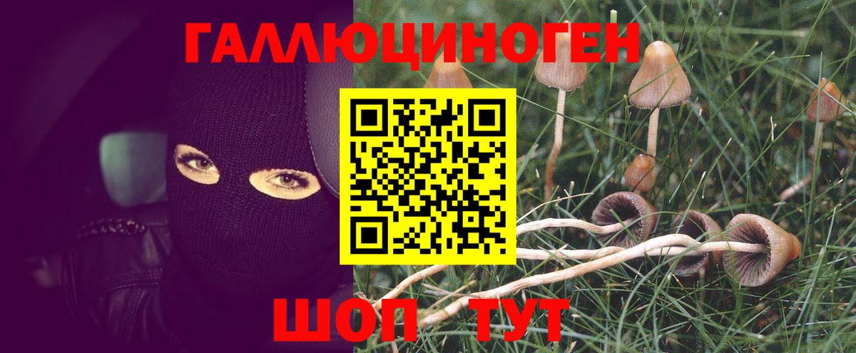 Псилоцибиновые грибы Cubensis Екатеринбург