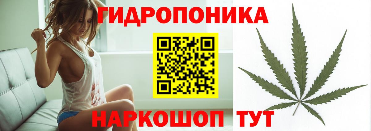 Бошки Шишки марихуана Екатеринбург